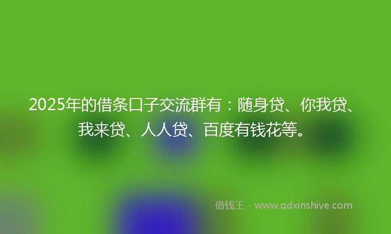 2025年的借条口子交流群有：随身贷、你我贷、我来贷、人人贷、百度有钱花等。