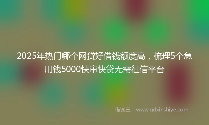 2025年热门哪个网贷好借钱额度高，梳理5个急用钱5000快审快贷无需征信平台