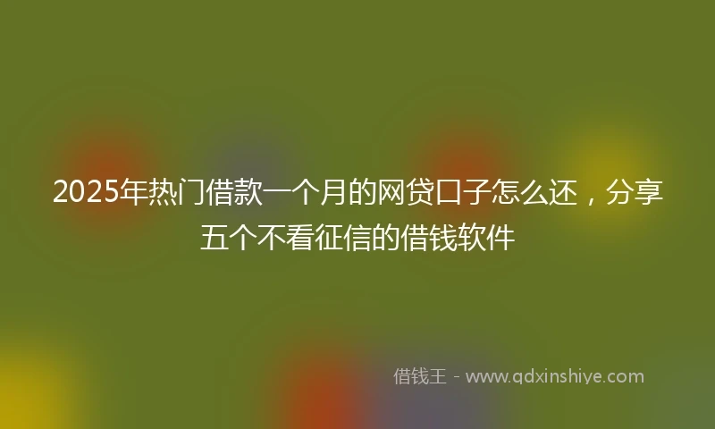 2025年热门借款一个月的网贷口子怎么还，分享五个不看征信的借钱软件