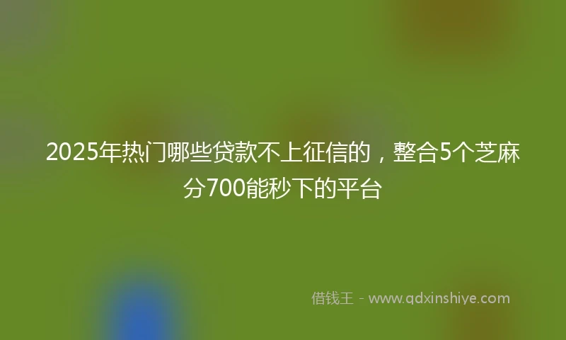 2025年热门哪些贷款不上征信的，整合5个芝麻分700能秒下的平台