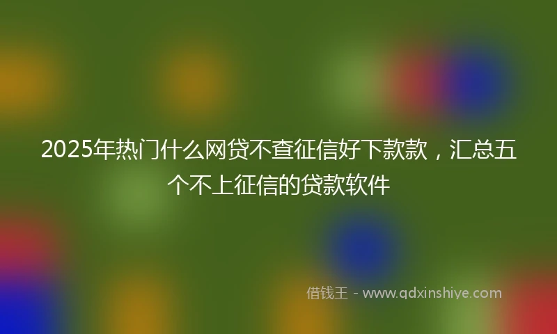 2025年热门什么网贷不查征信好下款款,汇总五个不上征信的贷款软件