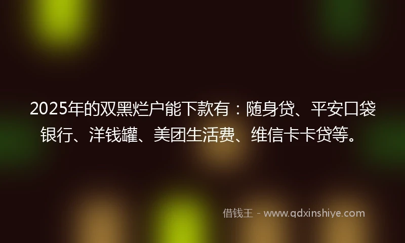 2025年的双黑烂户能下款有：随身贷、平安口袋银行、洋钱罐、美团生活费、维信卡卡贷等。