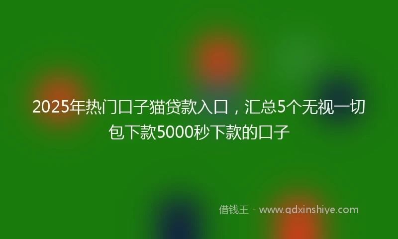 2025年热门口子猫贷款入口，汇总5个无视一切包下款5000秒下款的口子