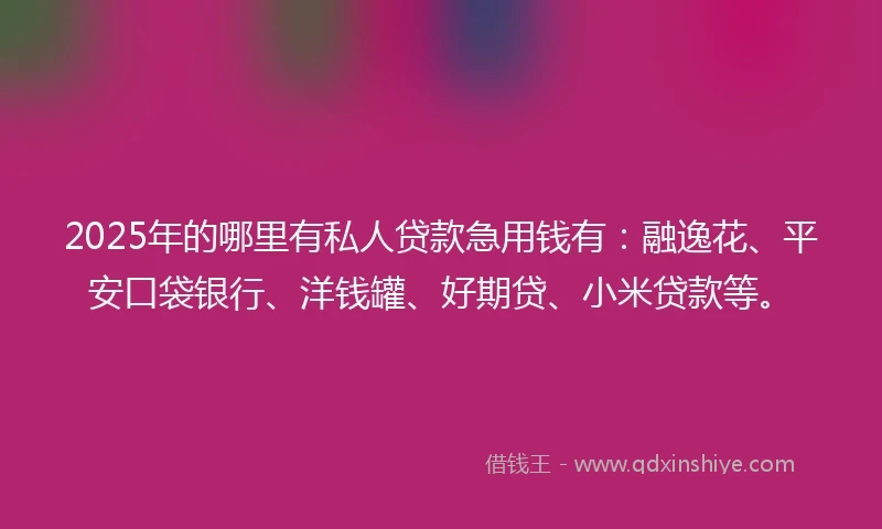 2025年的哪里有私人贷款急用钱有：融逸花、平安口袋银行、洋钱罐、好期贷、小米贷款等。
