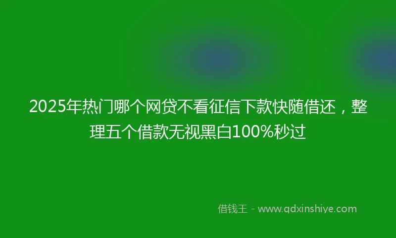 2025年热门哪个网贷不看征信下款快随借还，整理五个借款无视黑白100%秒过