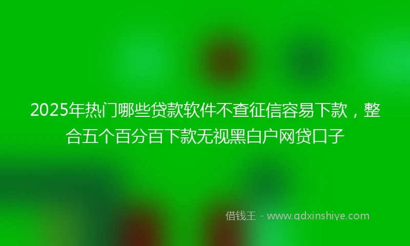 2025年热门哪些贷款软件不查征信容易下款，整合五个百分百下款无视黑白户网贷口子