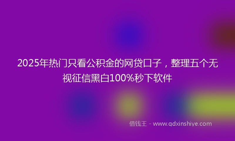 2025年热门只看公积金的网贷口子，整理五个无视征信黑白100%秒下软件