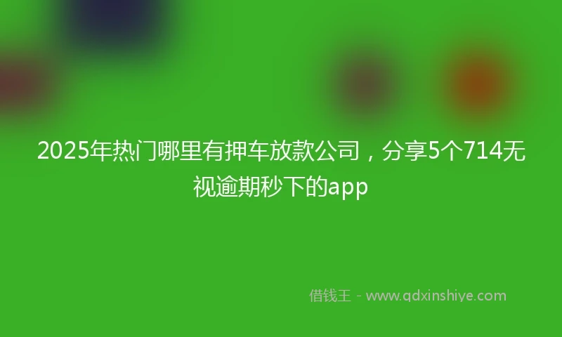 2025年热门哪里有押车放款公司，分享5个714无视逾期秒下的app
