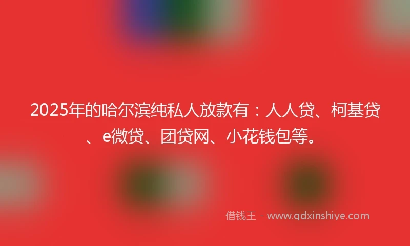 2025年的哈尔滨纯私人放款有：人人贷、柯基贷、e微贷、团贷网、小花钱包等。