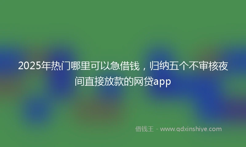 2025年热门哪里可以急借钱，归纳五个不审核夜间直接放款的网贷app