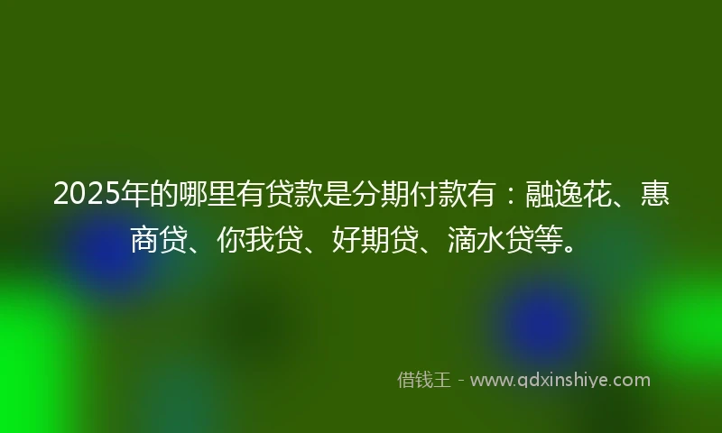 2025年的哪里有贷款是分期付款有：融逸花、惠商贷、你我贷、好期贷、滴水贷等。