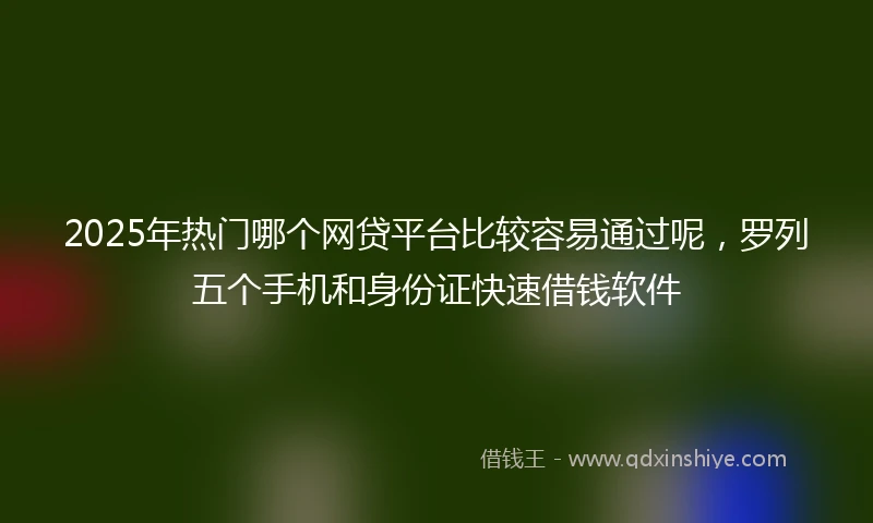 2025年热门哪个网贷平台比较容易通过呢，罗列五个手机和身份证快速借钱软件