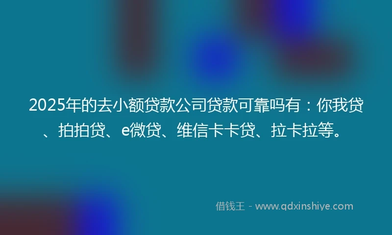 2025年的去小额贷款公司贷款可靠吗有：你我贷、拍拍贷、e微贷、维信卡卡贷、拉卡拉等。