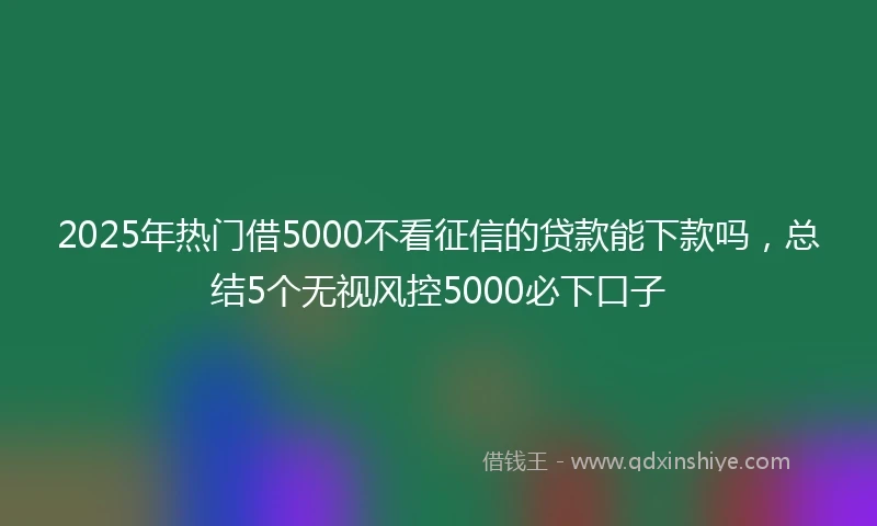2025年热门借5000不看征信的贷款能下款吗,总结5个无视风控5000必下口子