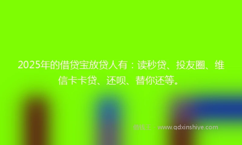 2025年的借贷宝放贷人有：读秒贷、投友圈、维信卡卡贷、还呗、替你还等。