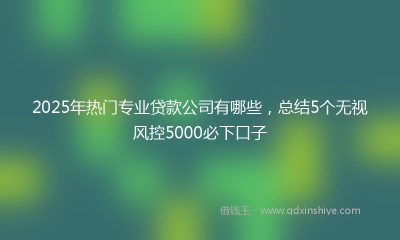 2025年热门专业贷款公司有哪些,总结5个无视风控5000必下口子