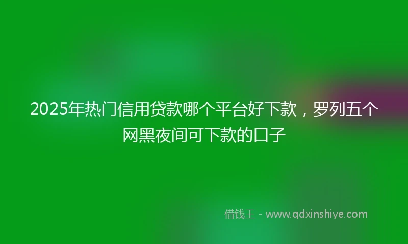 2025年热门信用贷款哪个平台好下款，罗列五个网黑夜间可下款的口子