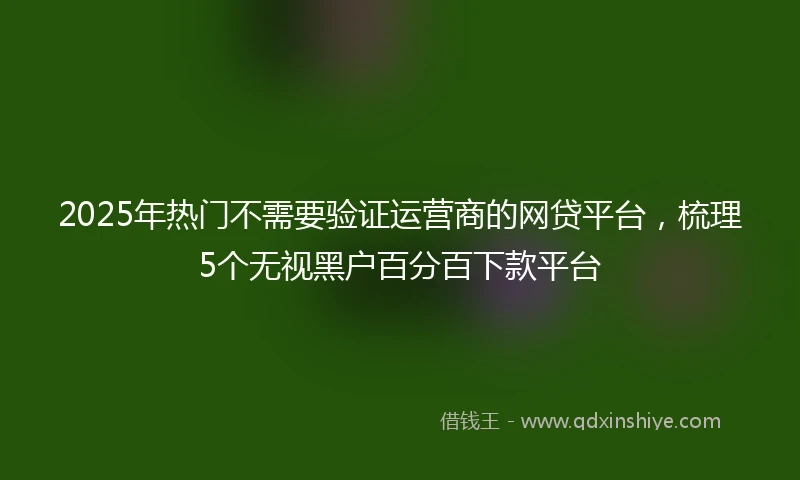 2025年热门不需要验证运营商的网贷平台,梳理5个无视黑户百分百下款平台