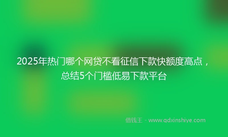 2025年热门哪个网贷不看征信下款快额度高点，总结5个门槛低易下款平台
