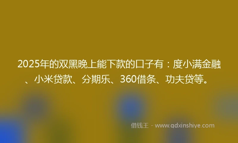 2025年的双黑晚上能下款的口子有：度小满金融、小米贷款、分期乐、360借条、功夫贷等。