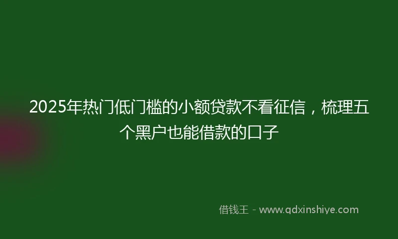 2025年热门低门槛的小额贷款不看征信，梳理五个黑户也能借款的口子