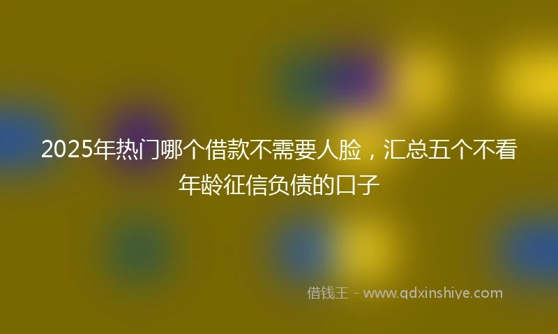 2025年热门哪个借款不需要人脸，汇总五个不看年龄征信负债的口子