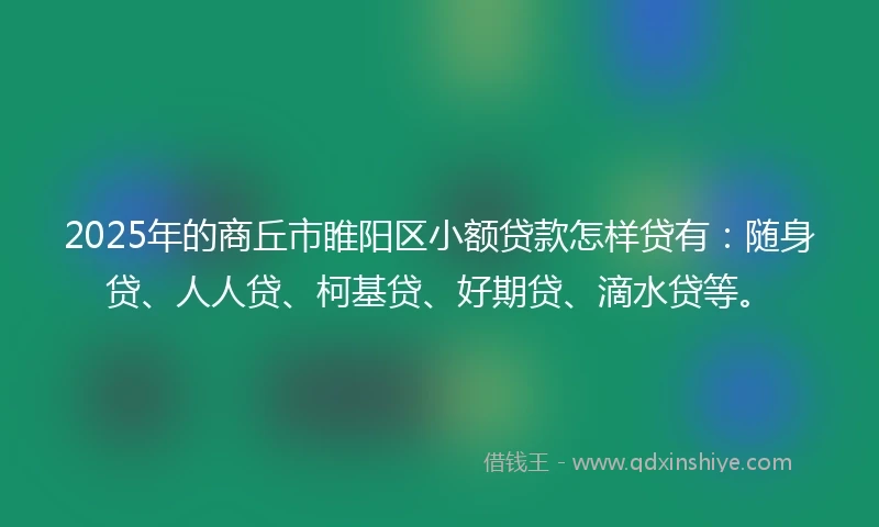2025年的商丘市睢阳区小额贷款怎样贷有：随身贷、人人贷、柯基贷、好期贷、滴水贷等。