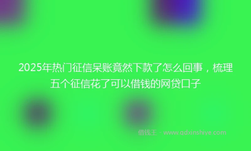 2025年热门征信呆账竟然下款了怎么回事，梳理五个征信花了可以借钱的网贷口子