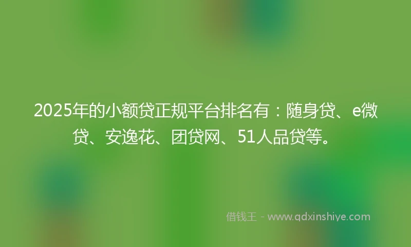 2025年的小额贷正规平台排名有：随身贷、e微贷、安逸花、团贷网、51人品贷等。