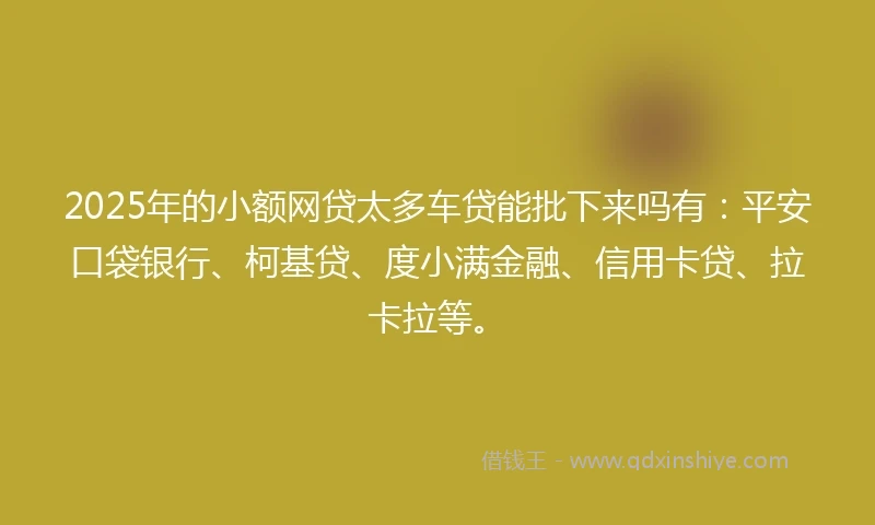 2025年的小额网贷太多车贷能批下来吗有:平安口袋银行、柯基贷、度小满金融、信用卡贷、拉卡拉等。