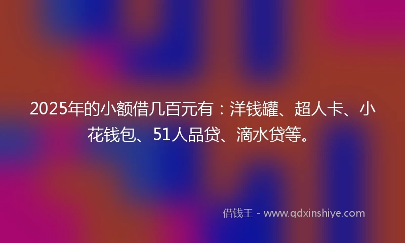 2025年的小额借几百元有：洋钱罐、超人卡、小花钱包、51人品贷、滴水贷等。
