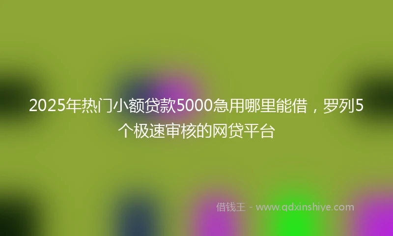 2025年热门小额贷款5000急用哪里能借，罗列5个极速审核的网贷平台