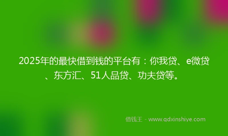 2025年的最快借到钱的平台有：你我贷、e微贷、东方汇、51人品贷、功夫贷等。