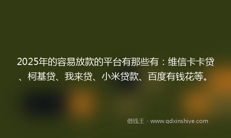 2025年的容易放款的平台有那些有：维信卡卡贷、柯基贷、我来贷、小米贷款、百度有钱花等。