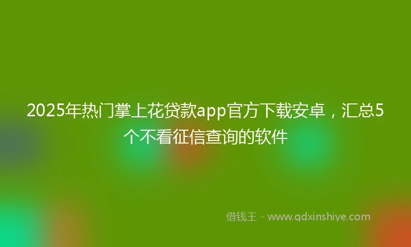 2025年热门掌上花贷款app官方下载安卓，汇总5个不看征信查询的软件