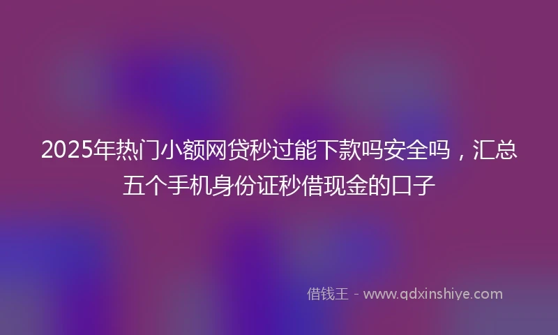 2025年热门小额网贷秒过能下款吗安全吗，汇总五个手机身份证秒借现金的口子