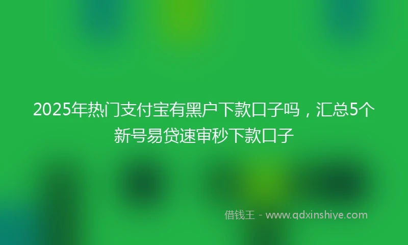 2025年热门支付宝有黑户下款口子吗，汇总5个新号易贷速审秒下款口子