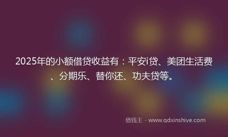 2025年的小额借贷收益有：平安i贷、美团生活费、分期乐、替你还、功夫贷等。