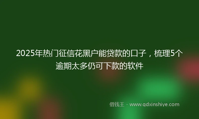 2025年热门征信花黑户能贷款的口子,梳理5个逾期太多仍可下款的软件