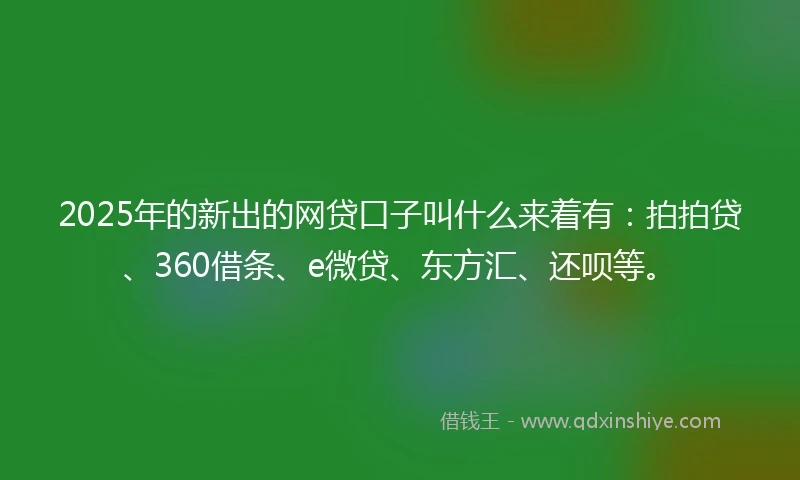 2025年的新出的网贷口子叫什么来着有：拍拍贷、360借条、e微贷、东方汇、还呗等。