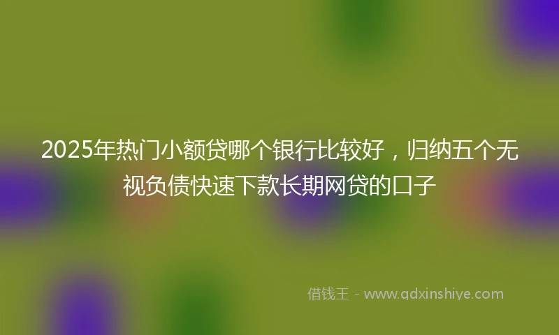 2025年热门小额贷哪个银行比较好，归纳五个无视负债快速下款长期网贷的口子