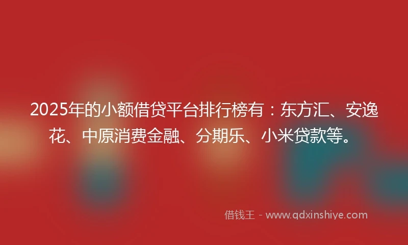 2025年的小额借贷平台排行榜有：东方汇、安逸花、中原消费金融、分期乐、小米贷款等。