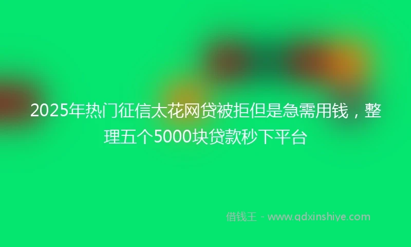 2025年热门征信太花网贷被拒但是急需用钱，整理五个5000块贷款秒下平台