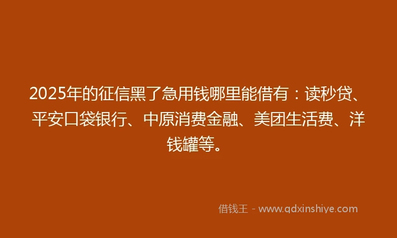 2025年的征信黑了急用钱哪里能借有：读秒贷、平安口袋银行、中原消费金融、美团生活费、洋钱罐等。