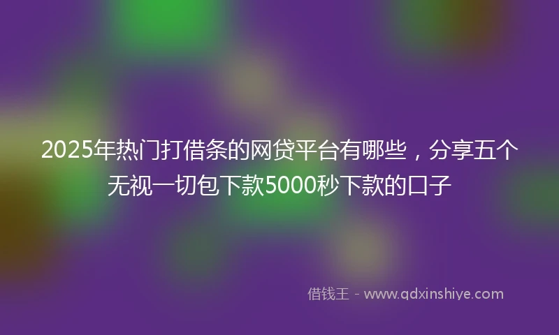 2025年热门打借条的网贷平台有哪些，分享五个无视一切包下款5000秒下款的口子
