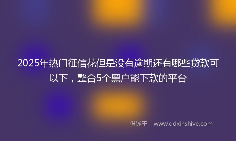2025年热门征信花但是没有逾期还有哪些贷款可以下，整合5个黑户能下款的平台