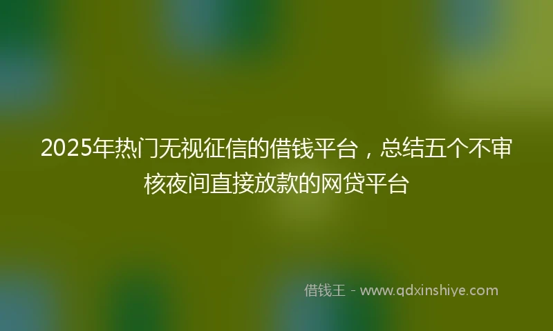 2025年热门无视征信的借钱平台，总结五个不审核夜间直接放款的网贷平台