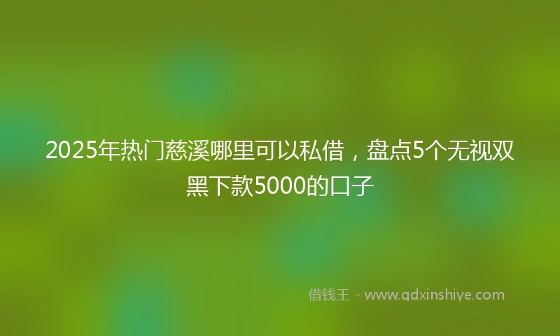 2025年热门慈溪哪里可以私借，盘点5个无视双黑下款5000的口子