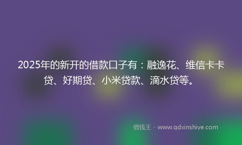 2025年的新开的借款口子有：融逸花、维信卡卡贷、好期贷、小米贷款、滴水贷等。