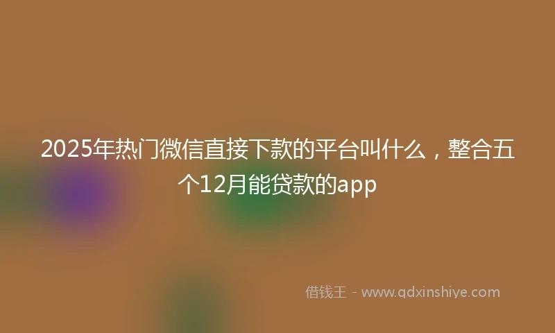 2025年热门微信直接下款的平台叫什么，整合五个12月能贷款的app